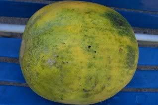 Early Crensahw 2 photo Crenshaw2.jpg